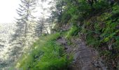 Tour Wandern Woll - Autour du Lac des Corbeaux - Photo 2