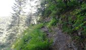 Randonnée Marche La Bresse - Autour du Lac des Corbeaux - Photo 2