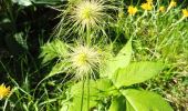 Tour Wandern Gresse-en-Vercors - Le Pas de Serpaton - Photo 9