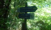 Trail Walking Campigny - 20230913-Campigny claude - Photo 4