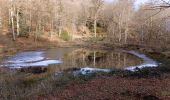 Trail Walking Escoussens - 2025-01-19 12:47:32 - Photo 1