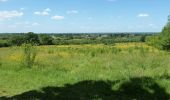 Tour Zu Fuß Hertsmere - Merry Hill Circular Footpath - Photo 5