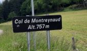 Randonnée Marche Lamastre - com montreynaud - Photo 2