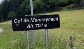 Tour Wandern Lamastre - com montreynaud - Photo 2