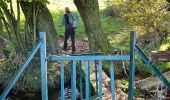 Trail Walking Aubel - Abbaye du Val-Dieu  - Photo 11