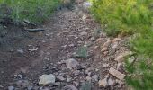 Trail Walking Roquebrune-sur-Argens - z la bonne eau 16-01-24 - Photo 2