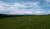 Excursión Senderismo Marlhes - petit tour depuis l'airellier du pilat - Photo 3