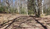 Trail Walking Lapleau - viaduc rochers noirs - Photo 12