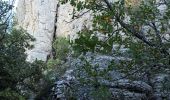 Tocht Stappen Roquefort-la-Bédoule - Le Grand Caunet/ Chap St André/vieux Roquefort  - Photo 16