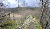 Excursión Senderismo Monschau - Höfen variante narcisses 15,3 km - Photo 8