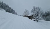 Trail Snowshoes Pralognan-la-Vanoise - Pralognan Les Fontanettes - Photo 4