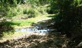 Tour Wandern La Bastide-Puylaurent - de la bastide puylaurent à villefort gr700 - Photo 2