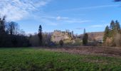 Excursión Senderismo Anhée - Warnant - Haut le wastia, jonquilles - Photo 11