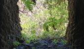 Randonnée Marche São Roque do Faial - Le chaudron vert  - Photo 13