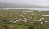 Tour Zu Fuß Westport-Belmullet Municipal District - Causeway Loop Walk - Photo 3