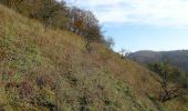 Tour Zu Fuß Bodenwerder - Über die Himckeburg ins romantische Rühler Tal - Photo 2