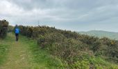 Trail Walking Escalles -  Cap Blanc Nez-Wissant-mont de Couple 25 km - Photo 4