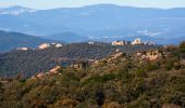 Tour Wandern Collobrières - SityTrail - chapelle st guillaume  - Photo 12