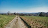 Tour Mountainbike Wirten - Villers-la-Loue II  -  Balade_VTT_19kms - Photo 7