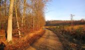 Randonnée Marche Rethondes - en forêt de Laigue_6_12_2019_Route Forestière des Princesses_Route et Chemin de Briançon - Photo 12