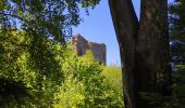 Trail Walking Ottrott - Le circuit des 5 châteaux - Photo 10