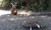 Randonnée Marche Rou-Marson - Rou Marson le lièvre et la tortue  - Photo 2