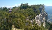 Trail Walking Rimon-et-Savel - Rimon-et-Savel CKCC - Photo 4