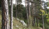 Trail On foot Garmisch-Partenkirchen - Philosophenweg - Photo 1