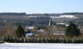 Trail On foot Tenneville - 3. Promenade du Bronze - Photo 2