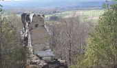 Tocht Stappen Durbuy - entre le menhir Pire Hena et le dolmen de Weris ... wouai... - Photo 5