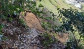 Excursión Senderismo Le Lorrain - La Crabiere Anse rivière Rouge - Photo 8