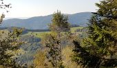 Randonnée Marche Saint-Maurice-sur-Moselle - Rouge Gazon - Lacs des Perches et du Neuweiher - Col des Charbonniers  - Photo 9