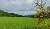 Trail Walking Vresse-sur-Semois - rando 20 -05-2024 laforêt - Photo 10