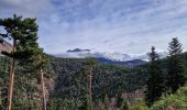 Randonnée Marche Veynes - Les 8 cols et Tête de Tombereau via Veynes - Photo 15