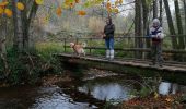 Tour Wandern Manhay - la promenade du jack - Photo 20