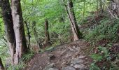 Trail Walking Bouillon - boucle  aventure  - Photo 2