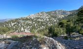 Randonnée Marche Toulon - Autour du Mont Faron - Photo 9
