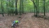 Tour Wandern Léglise - Bombois 8-9 km - Photo 1