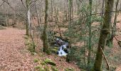 Excursión Senderismo Brassac - L’escalier de la Peyre par les Costes - Photo 10