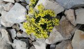 Tour Wandern Bédoin - les glacières par le sommet du ventoux - Photo 15