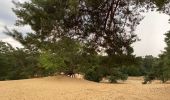 Randonnée Marche Maaseik - Gruitroderbos -  dunes - Photo 17