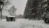 Excursión Senderismo Büllingen - Murringen - Weissen Stein - Murringen  - Photo 10