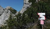 Percorso A piedi Dogna - Sentiero Battaglione Alpini Gemona - Photo 1