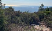 Tour Wandern Bagnols-en-Forêt - Crête Diaou et gorges du Blavet - Photo 4