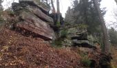 Percorso A piedi Clausen - Wandern in Clausen C8 Rund um Clausen - Photo 4