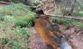 Excursión Senderismo La Chaise-Dieu - Bois de Breuil - Photo 11