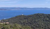 Tocht Stappen Hyères - Rando Port-Cros - Photo 1