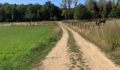 Trail Walking Saint-Hubert - Mirwart redu  - Photo 10