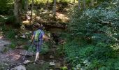 Trail Walking Izeron - La lunette- fontaine et grotte de Byry - Photo 4