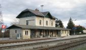 Tour Zu Fuß Gemeinde Wöllersdorf-Steinabrückl - Wöllersdorf - Markt Piesting - Scherrerwirt - Photo 9